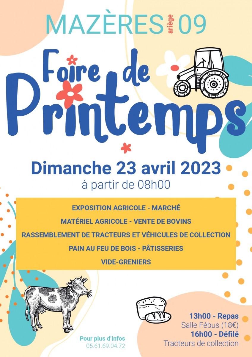 Foire maze res affiche 2